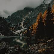 The Ambientalist Whispers