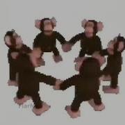 Happy Monkey Circle 10 Hours