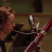 Bassoon Solo