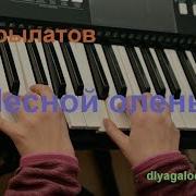 Кавер На Синтезаторе Лесной Олень