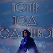 Поттер Под Подошвой