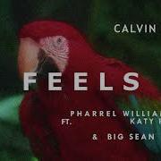 Feels Speed Up
