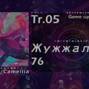 Жужжалка76 Camellia