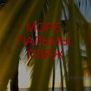 Море Пальмы Пляж