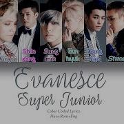 Evanesce Super Junior D E