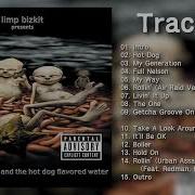 Limp Bizkit Chocolate Starfish And The Hotdog Flavored Water Full