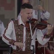 Orchestra Fluieraș Condusă De Frații Ștefăneț Suită De Deschidere