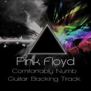 Comfortably Numb Backing Track