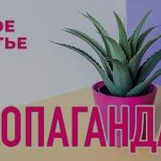 Пропаганда Белое Платье