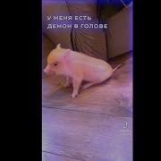 У Меня Есть Демон В Голове Ремикс