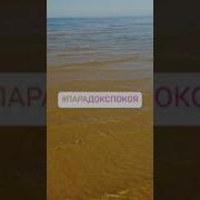 Фрэнк Кинслоу Парадокс Покоя Ничто Не Работает Так Как Ничто