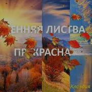 Листья Падают Кружатся