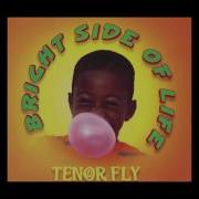 Tenor Fly Bright Side Of Life