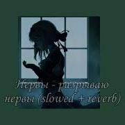 Нервы Reverd