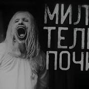 Милок Телек Почини