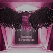 Black Pink How You Like That Instrumental Revamped