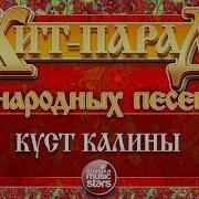 Куст Калины Русска Рома