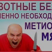 Фролов О Мясе