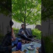 Зи Дастам Кас Намегирад