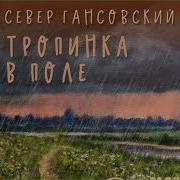 Тропинка В Поле
