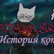 Овербро Финал Истории Кота
