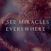 I See Miracles Everywhere Anna