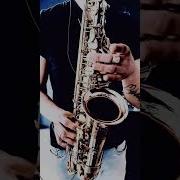 Незаконченный Роман Sax Cover