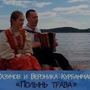 Песня Полынь Трава Под Гармонь