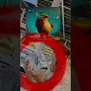 Музыка Популярные Блоггеры Голые Фото