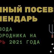 Лунный Посевной Календарь На 2021 Год