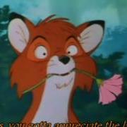 The Fox And The Hound Appreciate The Lady Lyrics