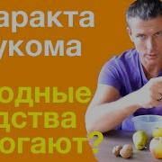 Сытин Исцеление От Катаракты