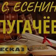 Есенин Пугачёв