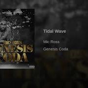 Mic Ross Tidal Wave