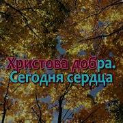 Привет Вам Христово Цветущее Племя