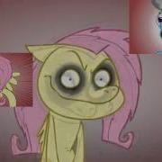 Fluttershy From Shed Mov Has A Spart