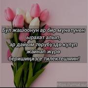Туулган Кунго Ырлар Апама
