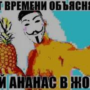 Нет Времени Объяснять Суй Ананас В Жопу