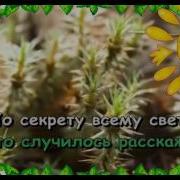 Караоке Для Детей По Секрету Всему Свету