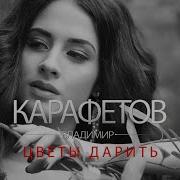 Владимир Карафетов