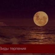 Надир Абу Халид Терпение