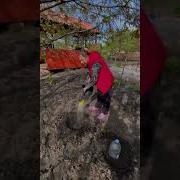 Кабачки Уход И Выращивание