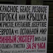 Винный Эксперт За 24 Часа