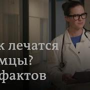 Немецкая Медицина Лучшая В Мире