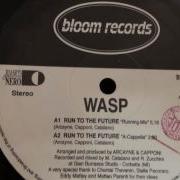 Wasp Run To The Future