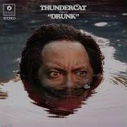 Them Changes Thundercat Instrumental