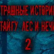 Страшные Истории Про Лес Тайгу И Нечисть 2 Мистика