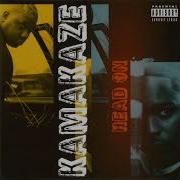 Kamakaze Spread It Around