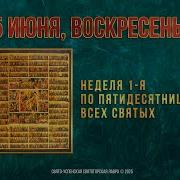 Прямая Трансляция Святогорская Лавра