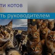 Как Пасти Котов Глава